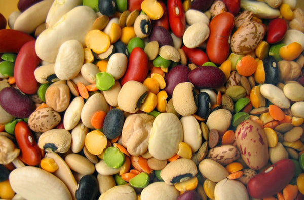 Bean